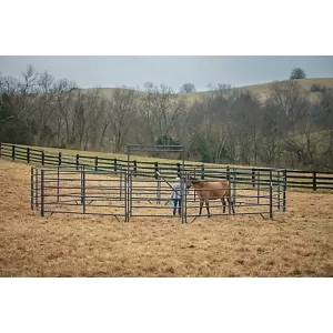 CountyLine Equine 6 Wide Corral Walk-Thru W 5 Tall Gate Gray HWT56