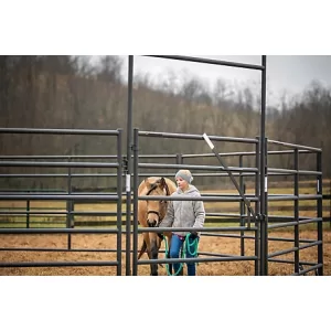 CountyLine Equine 6 Wide Corral Walk-Thru W 5 Tall Gate Gray HWT56