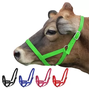 Derby Originals Nylon Cattle Halter for Barn and Turnout