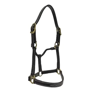 Huntley Equestrian Premium Leather Fancy-Stitched Pony Halter