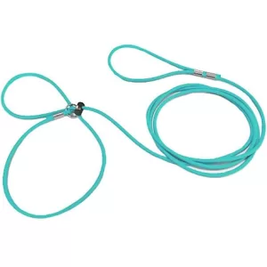 Piggy Poo and Crew Adjustable Mini Pig Harness and Leash Teal