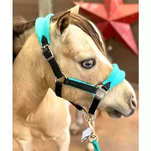 Star Point Horsemanship Fleece Miniature Horse Pony Halter