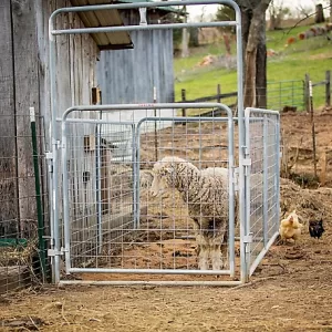 Tarter 5 ft. x 7 ft. Walk-Thru Pen Kid Goat Panel 60 lb.