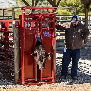 Tarter CattleMaster Series 3 Automatic Headgate for Cattle Up to 1,200 lb. 19-1 2 in. x 41 in. x 72 in. Red 223 lb.