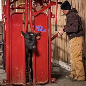 Tarter CattleMaster Series 3 Standard Squeeze Chute with Manual Headgate