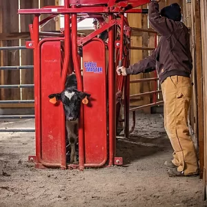 Tarter CattleMaster Series 3 Standard Squeeze Chute with Manual Headgate