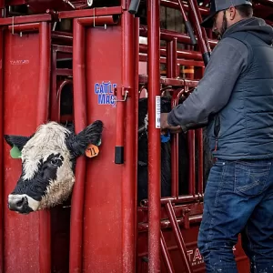 Tarter CattleMaster Series 6 Heavy-Duty Squeeze Chute with Automatic Headgate