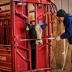 Tarter CattleMaster Series 6 Heavy-Duty Squeeze Chute with Manual Headgate