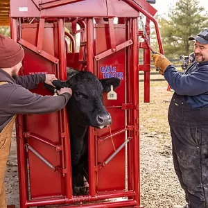 Tarter CattleMaster Series 6 Heavy-Duty Squeeze Chute with Manual Headgate