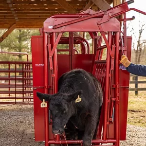 Tarter CattleMaster Series 6 Heavy-Duty Squeeze Chute with Manual Headgate