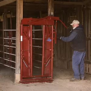 Tarter CattleMaster Series 6 Manual Headgate for Cattle up to 1 400 lb. 10 in. x 51 in. x 79 in. Red