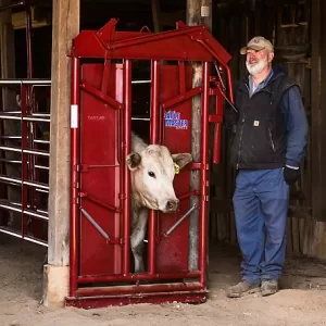 Tarter CattleMaster Series 6 Manual Headgate for Cattle up to 1 400 lb. 10 in. x 51 in. x 79 in. Red