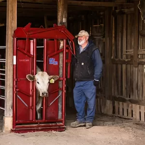 Tarter CattleMaster Series 6 Manual Headgate for Cattle up to 1 400 lb. 10 in. x 51 in. x 79 in. Red