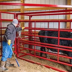 Tarter Maternity Pen with Automatic Headgate