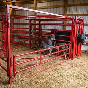 Tarter Maternity Pen with Automatic Headgate