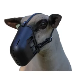 Sullivan Supply Heavy Plastic Lamb Muzzle