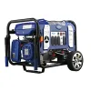 Ford 6250-Watt (Gas)/6000-Watt (LPG) Dual Fuel Generator with Electric Start