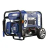 Ford 9000-Watt (Gas)/8100-Watt (LPG) Dual Fuel Generator Electric Start