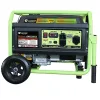 Green-Power America 4250-Watt Dual Fuel CO Protected Portable Generator